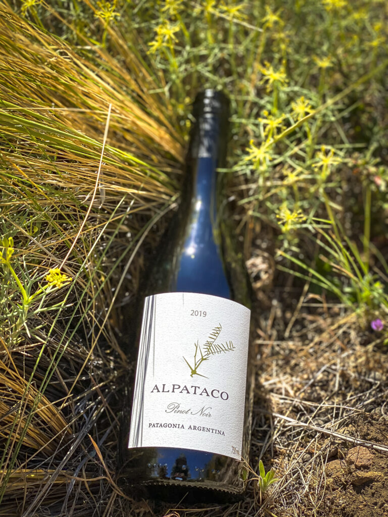 Alpataco Pinot Noir 3