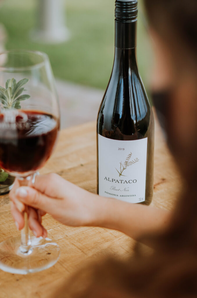 Bodega Familia Schroeder-101